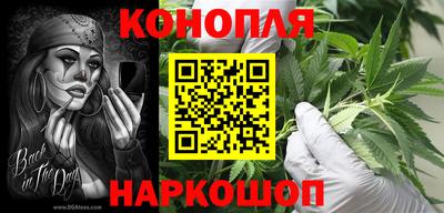 стаф Кунгур