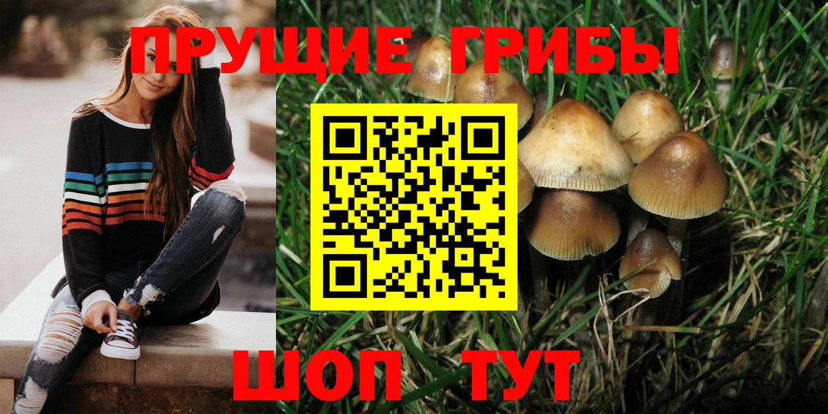 Псилоцибиновые грибы Magic Shrooms  Вход с VPN  Димитровград 