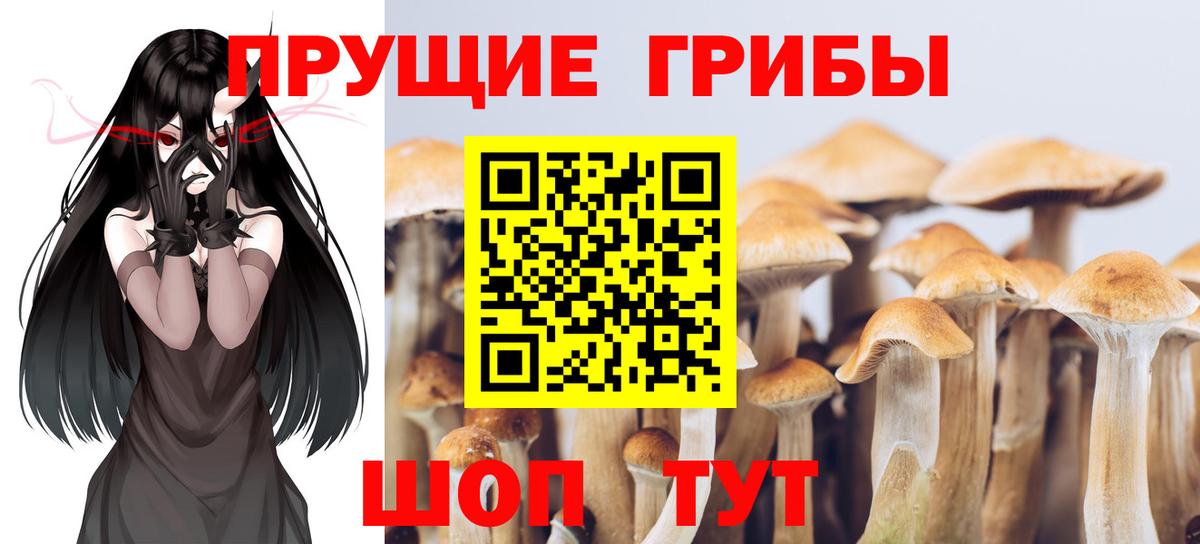 Галлюциногенные грибы MAGIC MUSHROOMS Димитровград