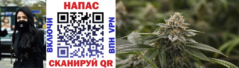 МАРИХУАНА OG Kush Димитровград